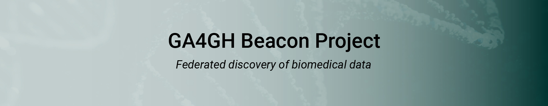 Header-Home-Beacon Website